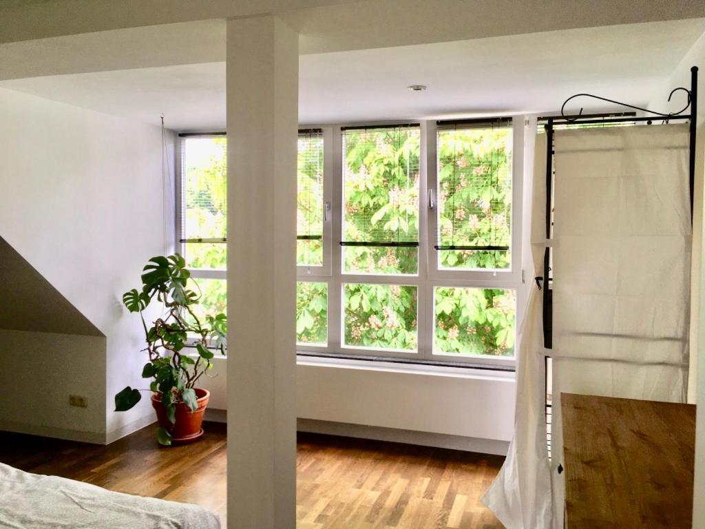 אייזנבאך Maisonette Wohnung Suedstadtvilla מראה חיצוני תמונה